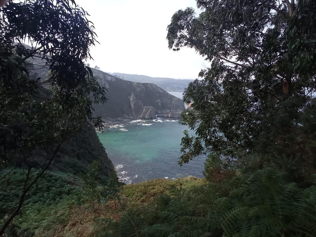 Duerming Family Viveiro 4 Rooms المظهر الخارجي الصورة